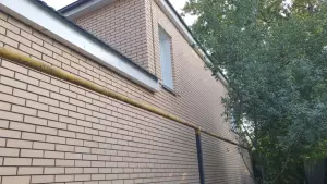 ИМБИРЬ 1НФ кора дуба3