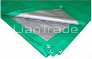 tent_polietilenovyy_3kh4_120
