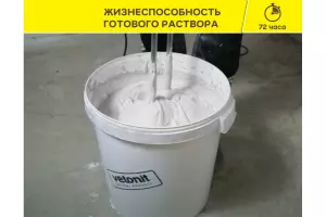 54500443