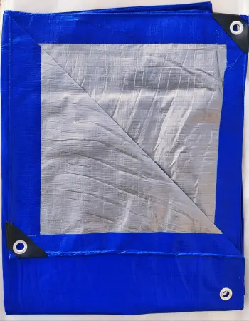 tent_polietilenovyy_8kh10_180