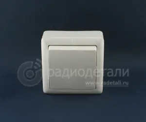 ион