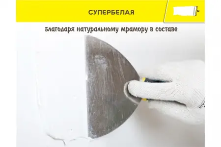 54500442