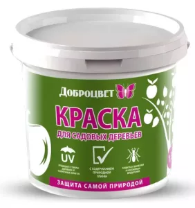 доброцвет