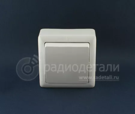 ион